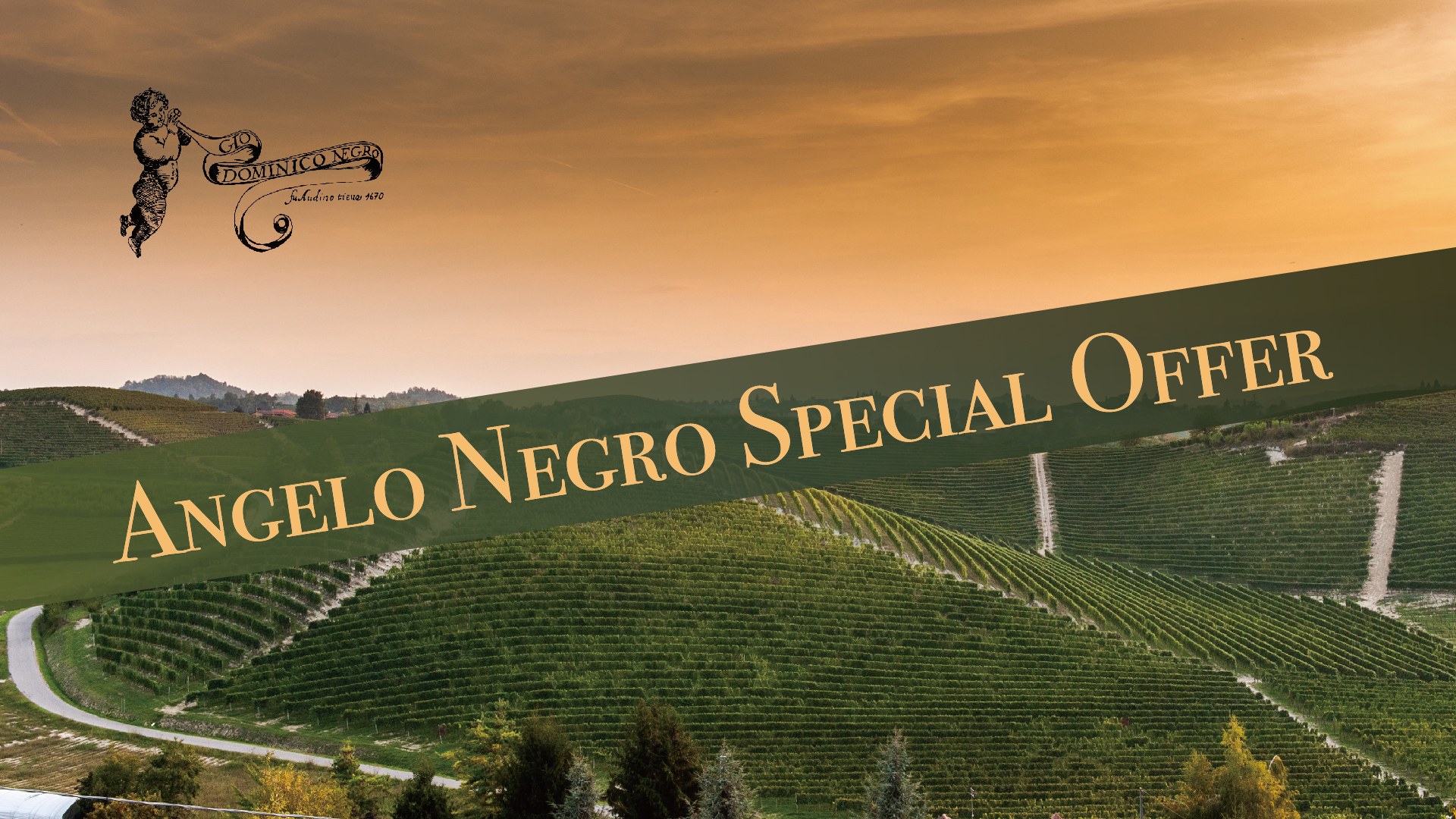 Angelo Negro Special Offer banner.jpg | 1677kb | 1920x1080